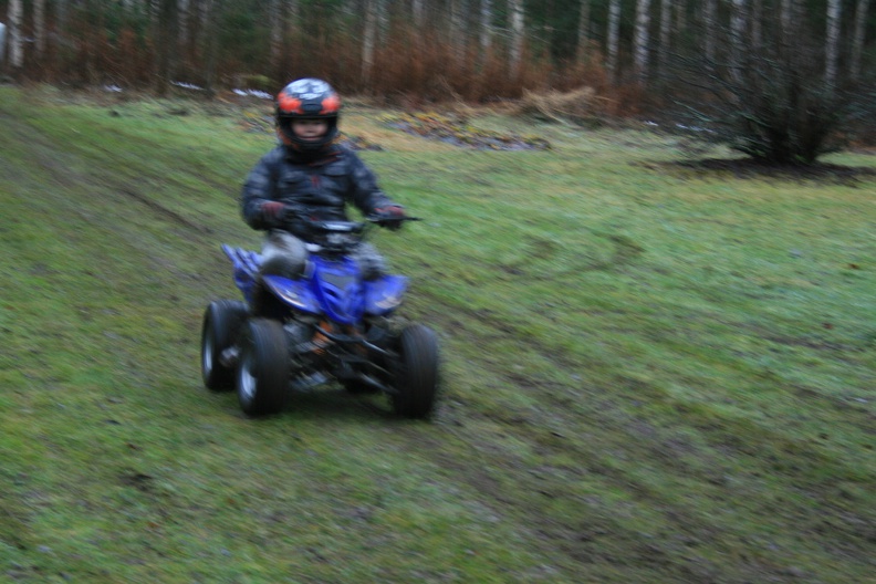 Oh, so fast Nephew Cub - IMG_9576_crop.jpg IMG_9576_crop.jpg