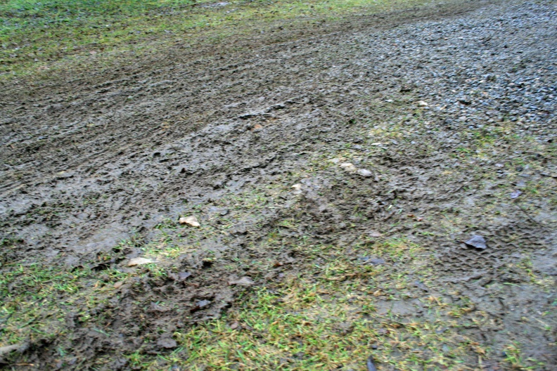 Non-fast mud on Grandpa Bear's lawn